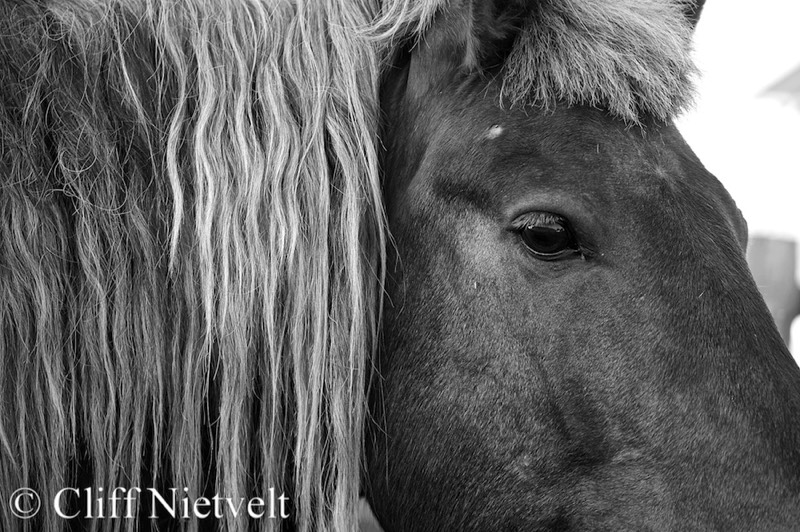 Stacks Image 1156