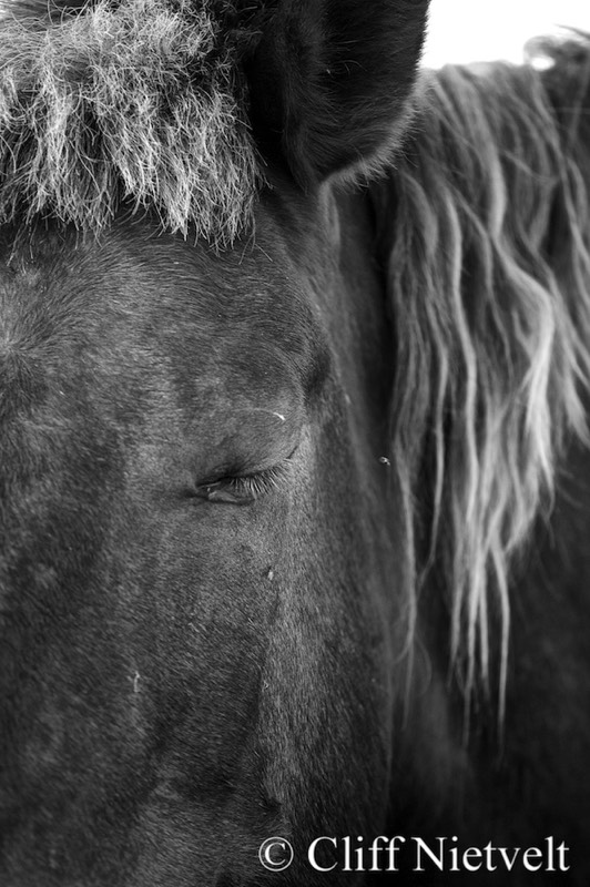 Stacks Image 1722