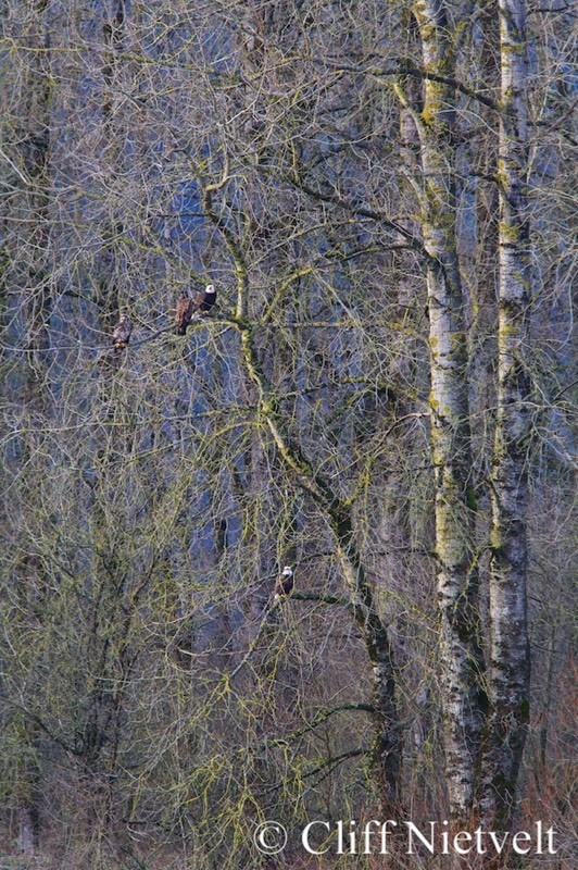 Stacks Image 1160