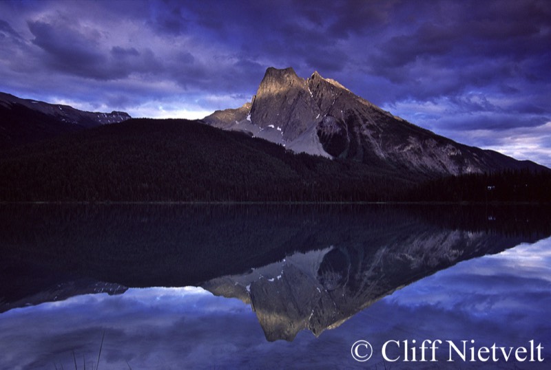Stacks Image 1148