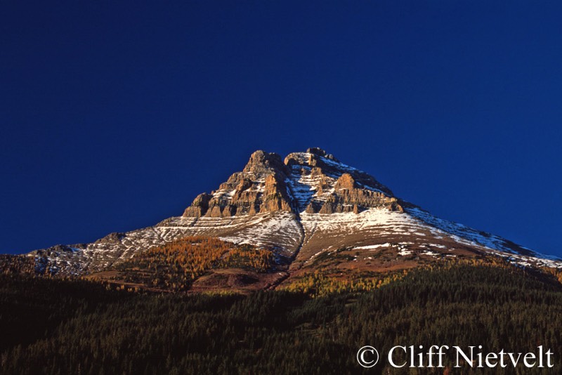 Stacks Image 1178