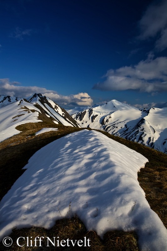 Stacks Image 1158