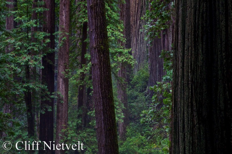 Stacks Image 1178