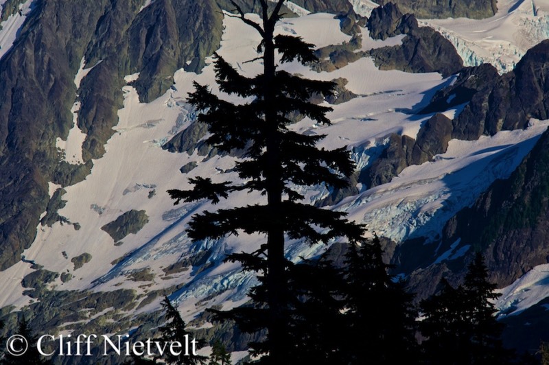 Stacks Image 1718