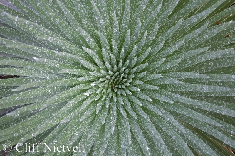 Stacks Image 1657