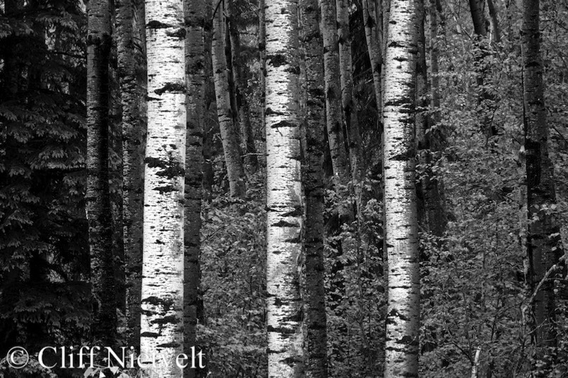 Stacks Image 1718