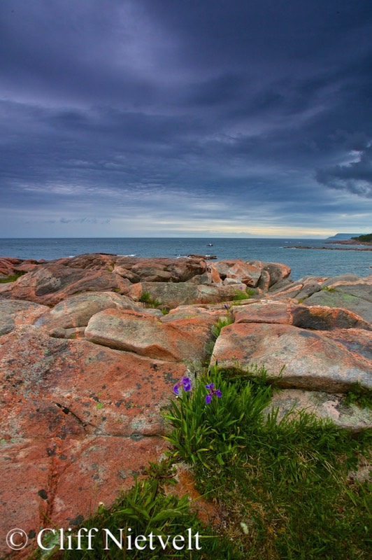 Stacks Image 1613