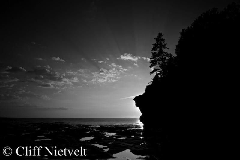 Stacks Image 1611
