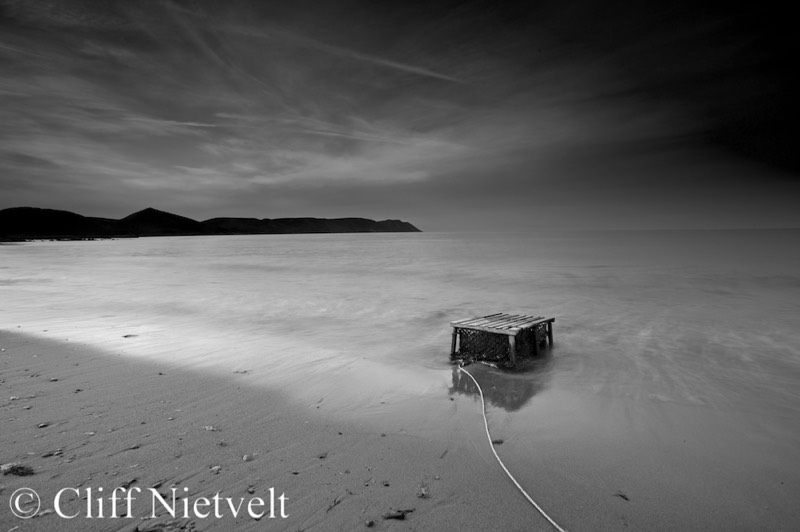 Stacks Image 1663