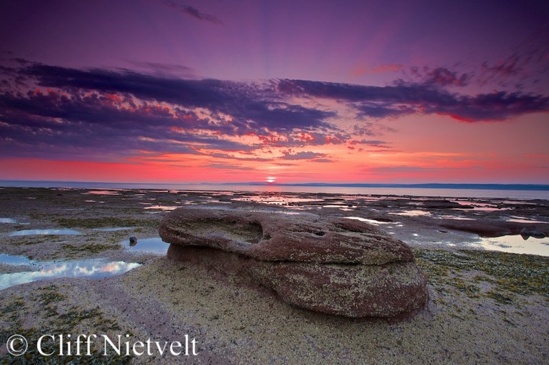 Stacks Image 1609