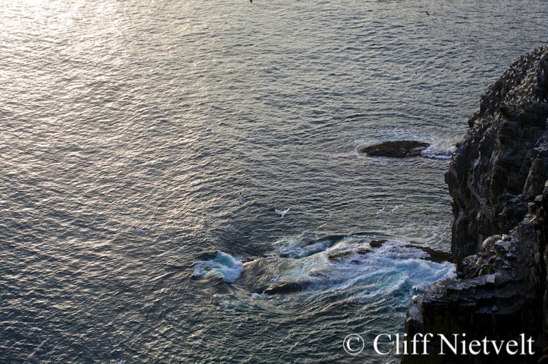 Stacks Image 1601