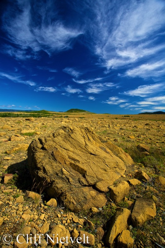 Stacks Image 1669