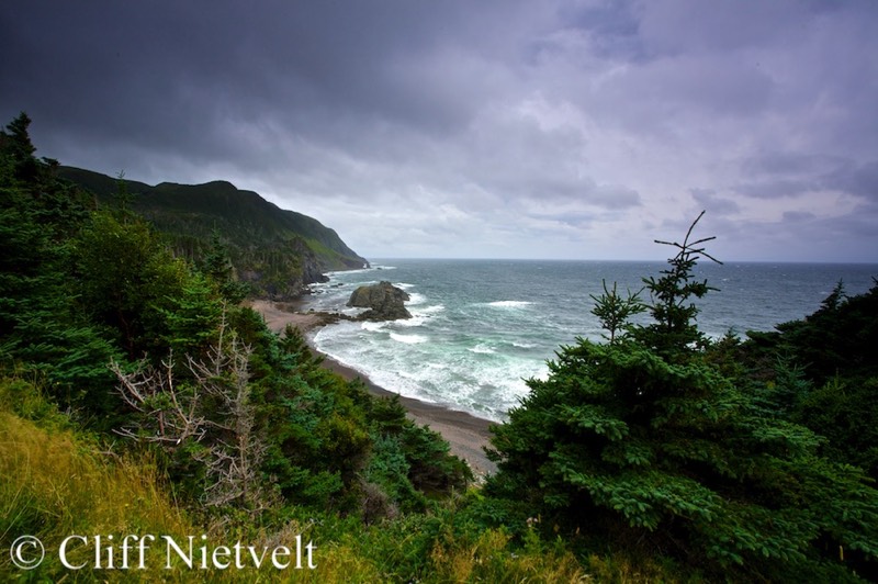 Stacks Image 1673