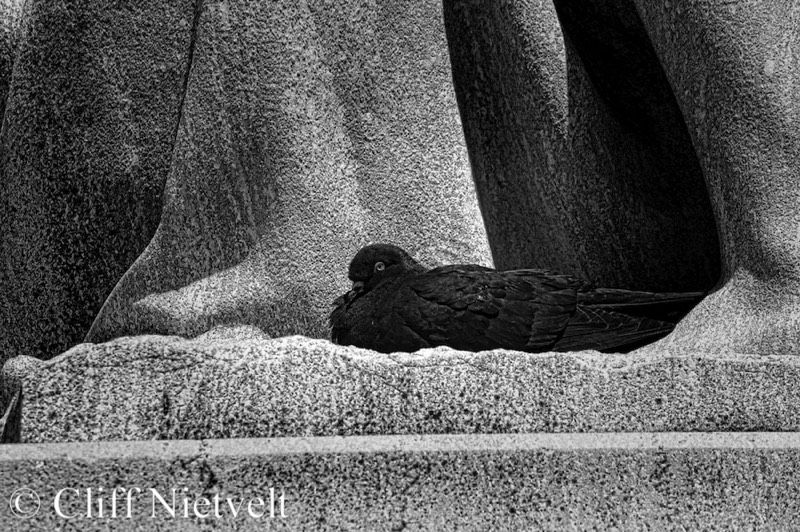 Stacks Image 1613